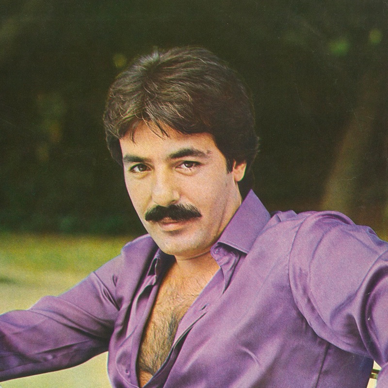 کاور Ferdi Tayfur