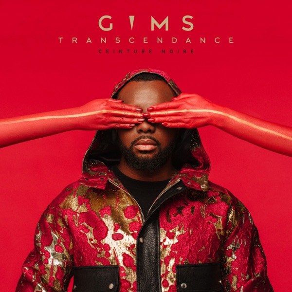 کاور آهنگ Reste از Maître Gims