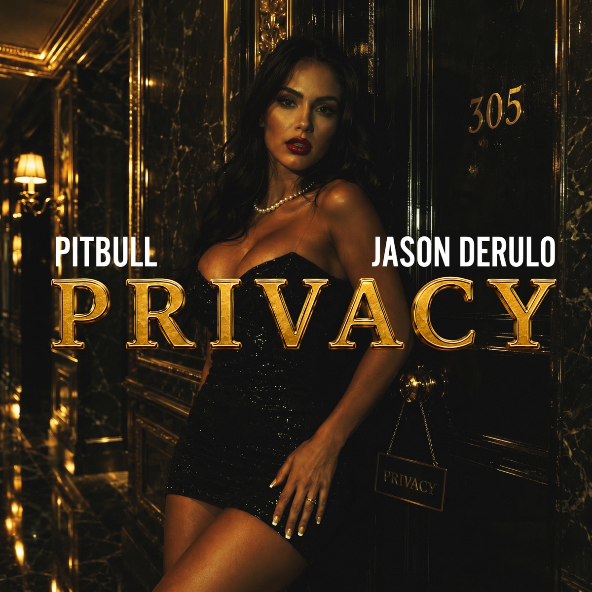 کاور Privacy - Single