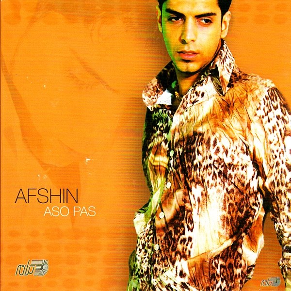 کاور آهنگ Dooset Daram از Afshin