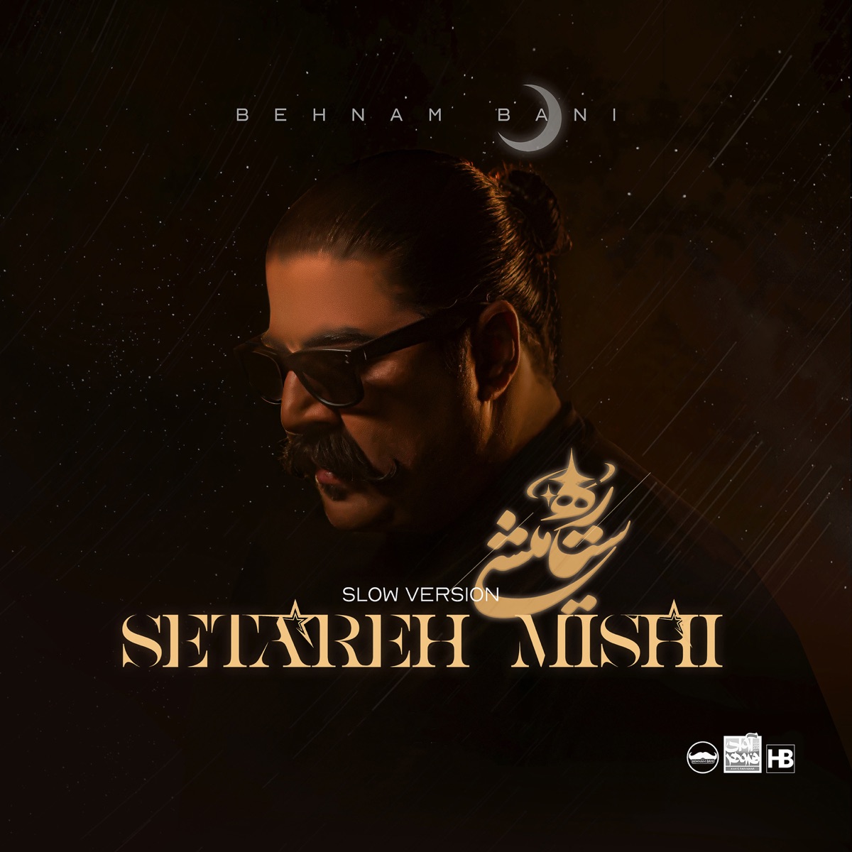 کاور Setareh Mishi (Slow Version) - Single
