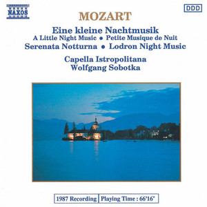 کاور آهنگ Serenade No. 13 in G Major, K. 525 "Eine kleine Nachtmusik": I. Allegro (Featured in "Nikita") از Wolfgang Amadeus Mozart