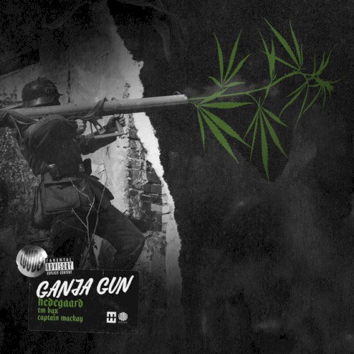 کاور آهنگ GANJA GUN از Hedegaard