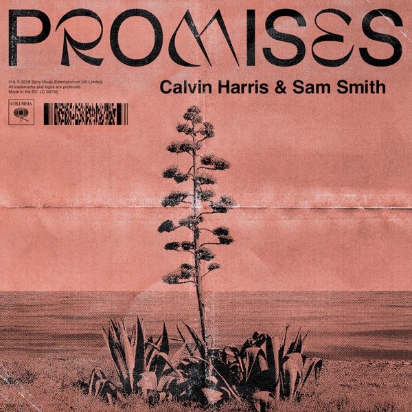 کاور آهنگ Promises از Calvin Harris