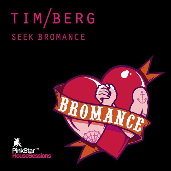 کاور آهنگ Seek Bromance از Tim Berg