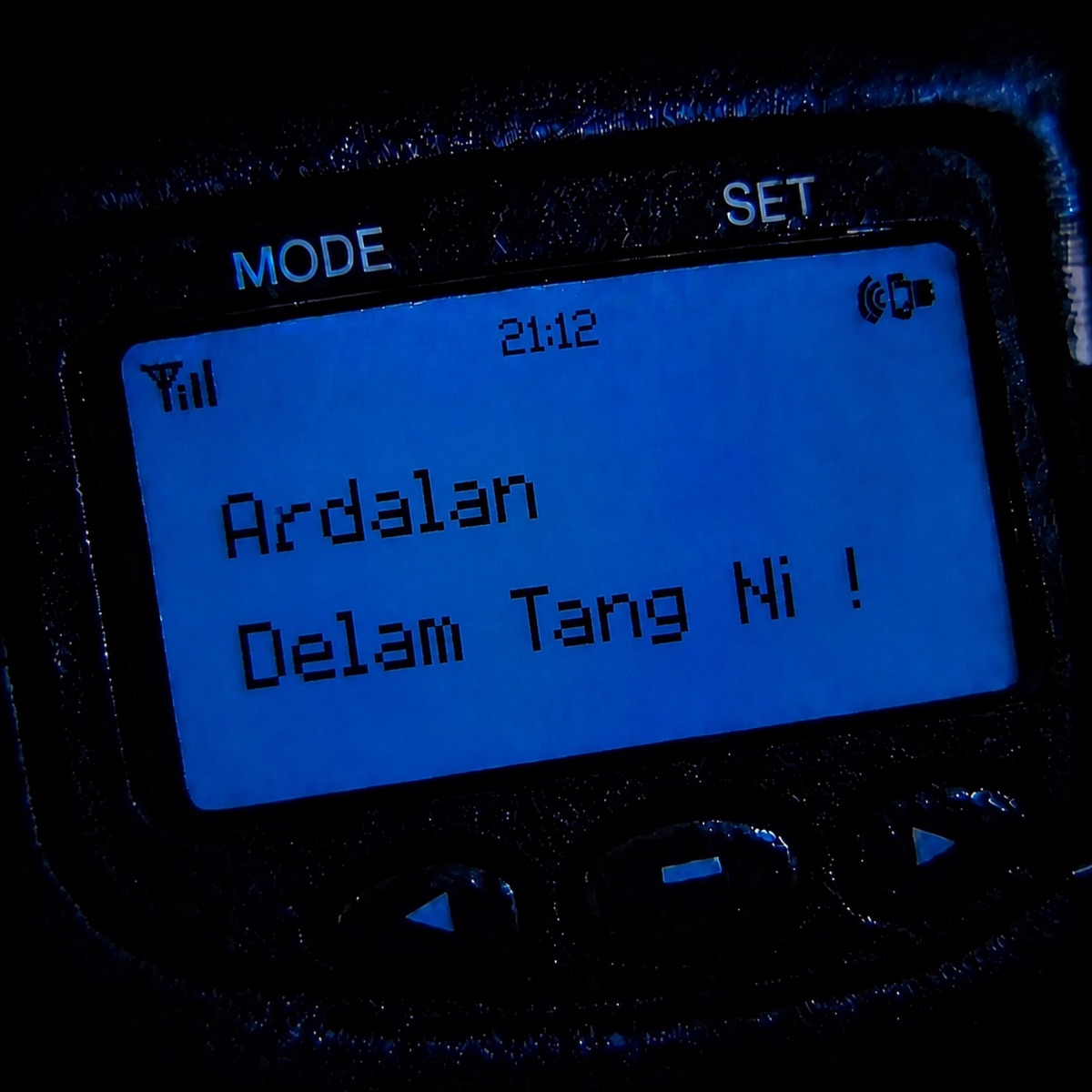 کاور آهنگ Delam Tang Ni از حکومت اردلان