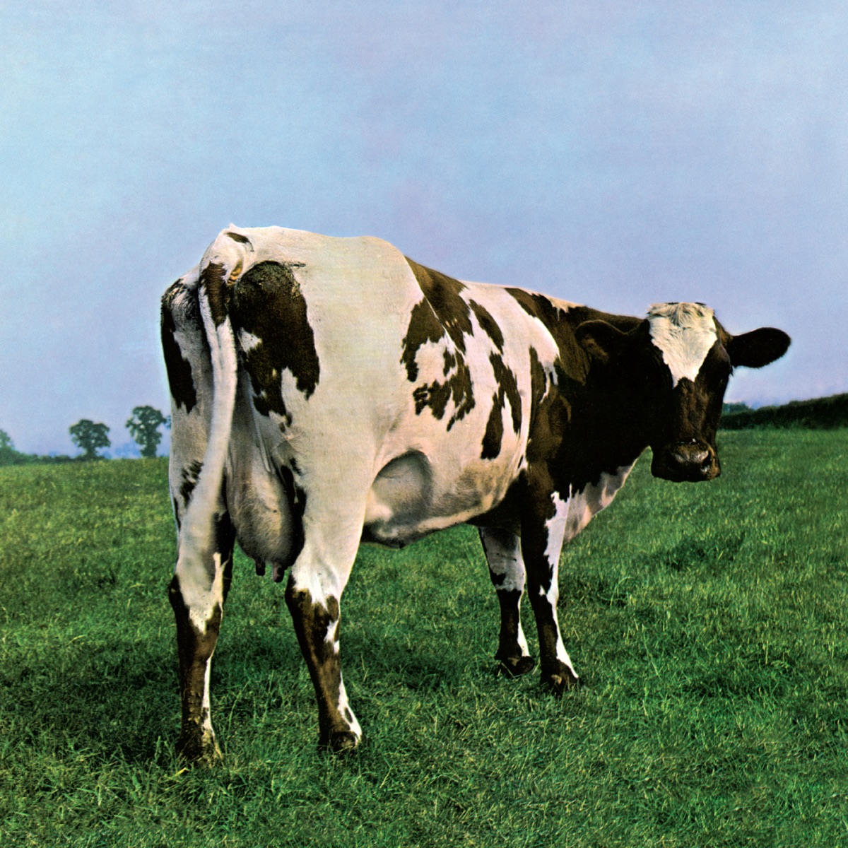 کاور Atom Heart Mother