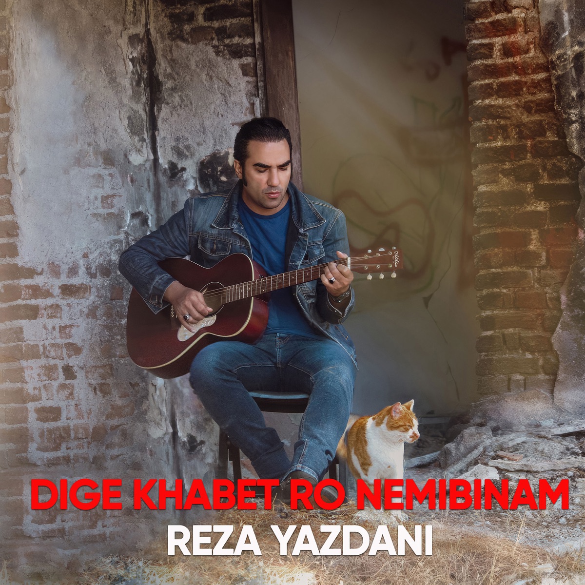کاور آهنگ Dige Khabet Ro Nemibinam از رضا یزدانی