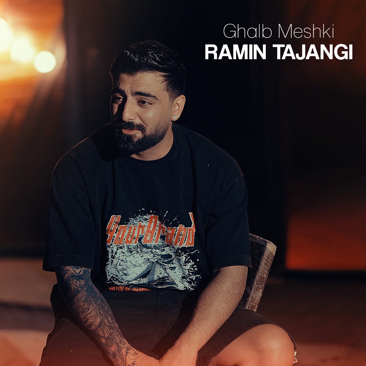 کاور آهنگ Ghalb Meshki از Ramin Tajangi
