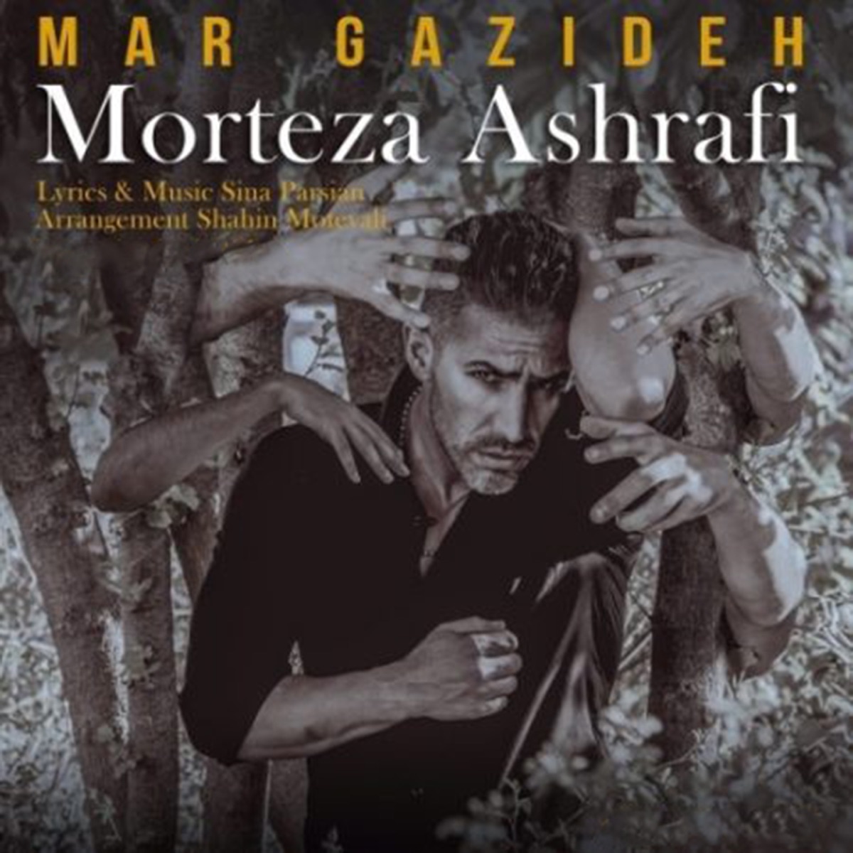 کاور Mar Gazideh - Single