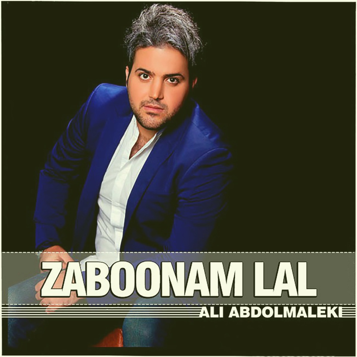 کاور Zaboonam Lal - Single