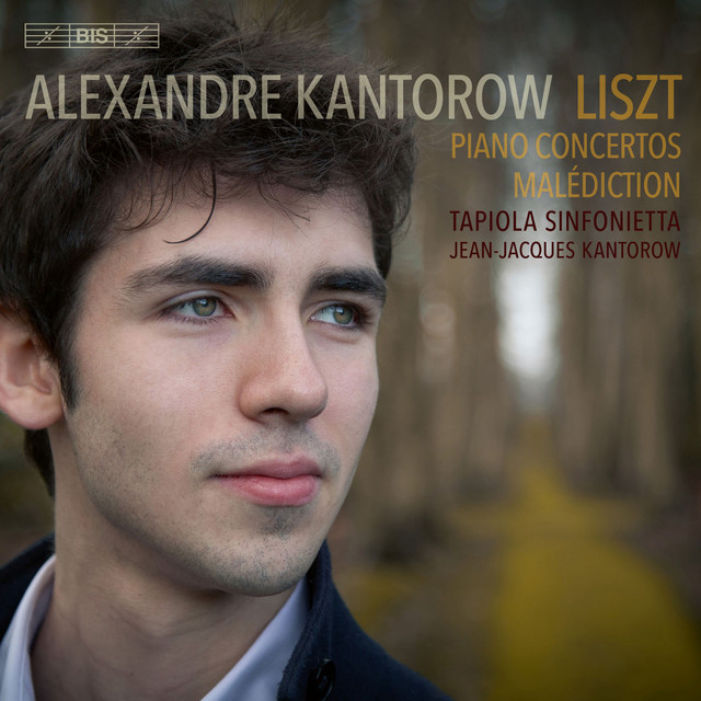 کاور آهنگ Piano Concerto No. 2 in A Major, S. 125: Allegro deciso - از Franz Liszt