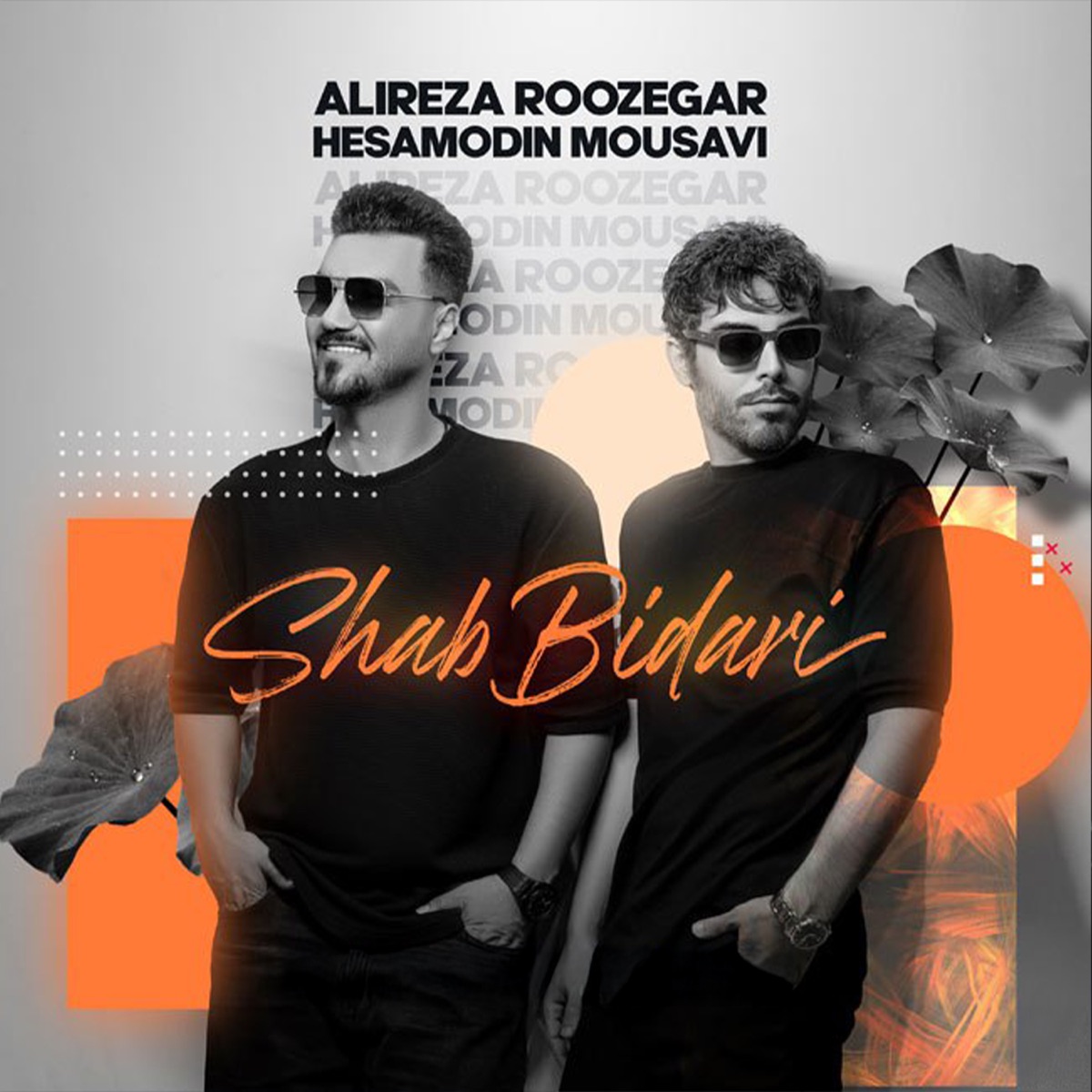 کاور Shab Bidari - Single