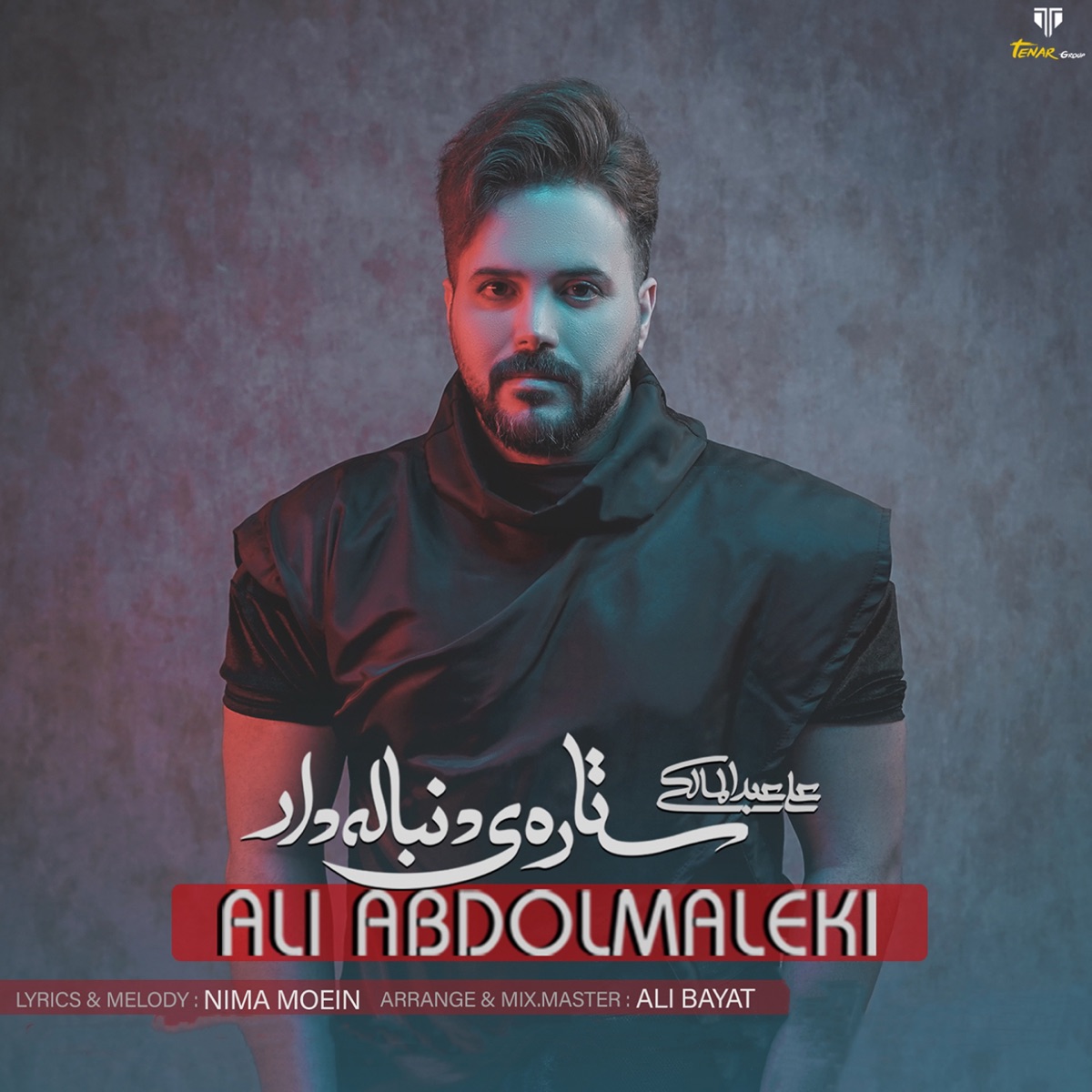 کاور Setareye Donbaleh Dar - Single