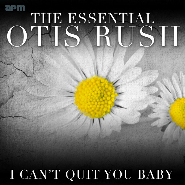 کاور آهنگ Bad Luck Blues از Otis Rush