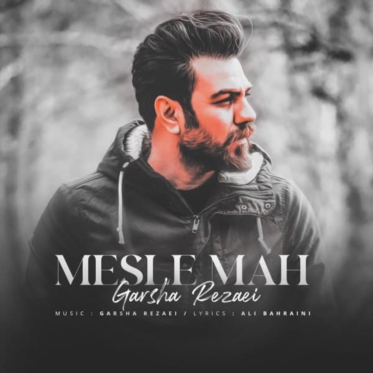 کاور Mesle Mah - Single