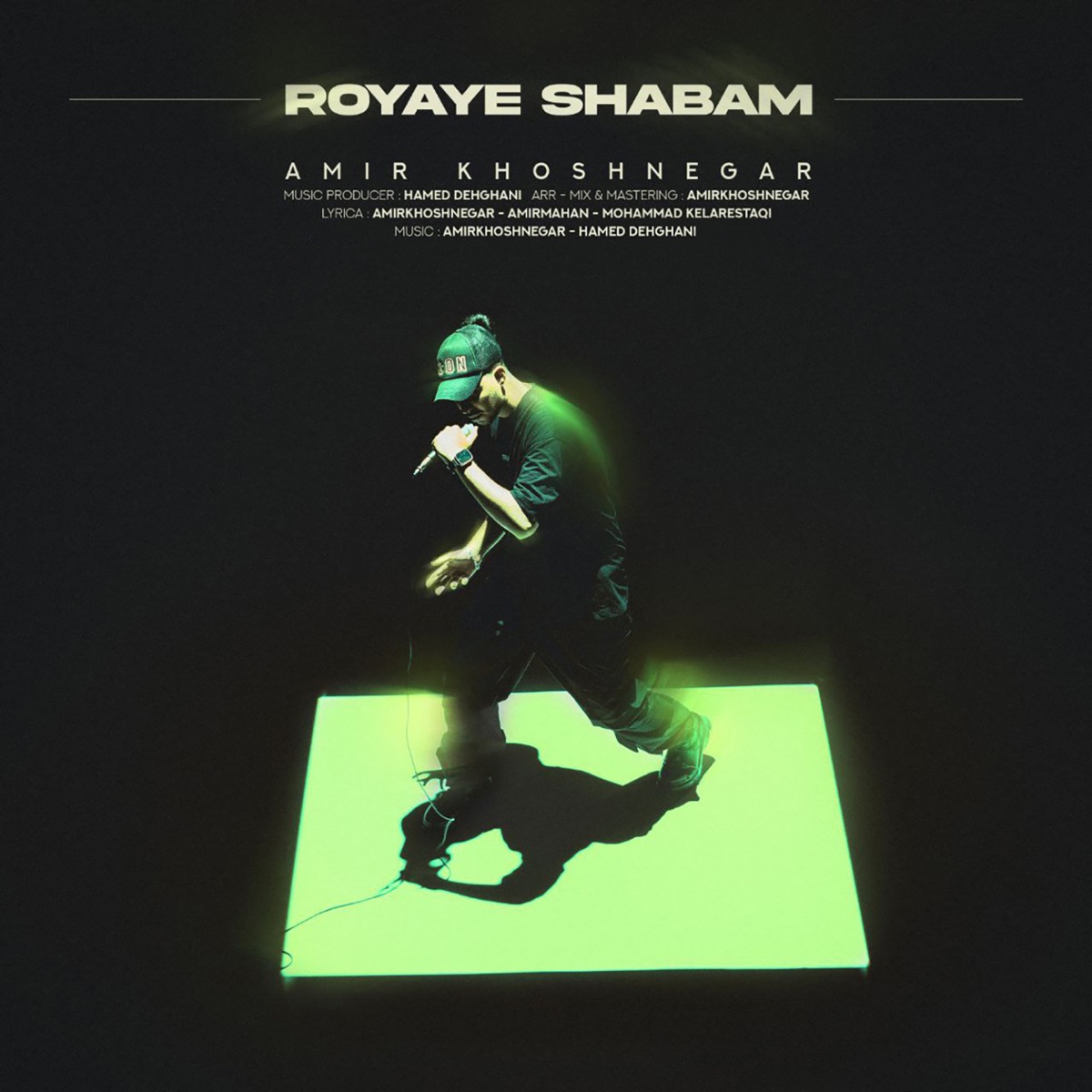 کاور آهنگ Royaye Shabam از Amir Khoshnegar