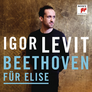 کاور آهنگ Bagatelle No. 25 in A Minor, WoO 59 "Für Elise" از Ludwig van Beethoven
