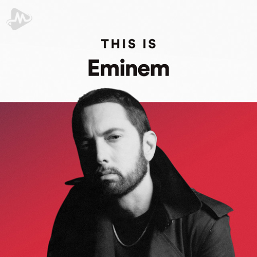 کاور آهنگ Role Model از Eminem