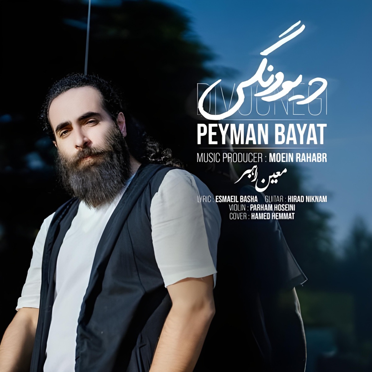 کاور Divoonegi - Single