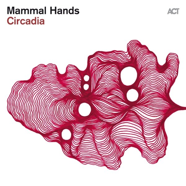 کاور آهنگ Four Flowers از Mammal Hands