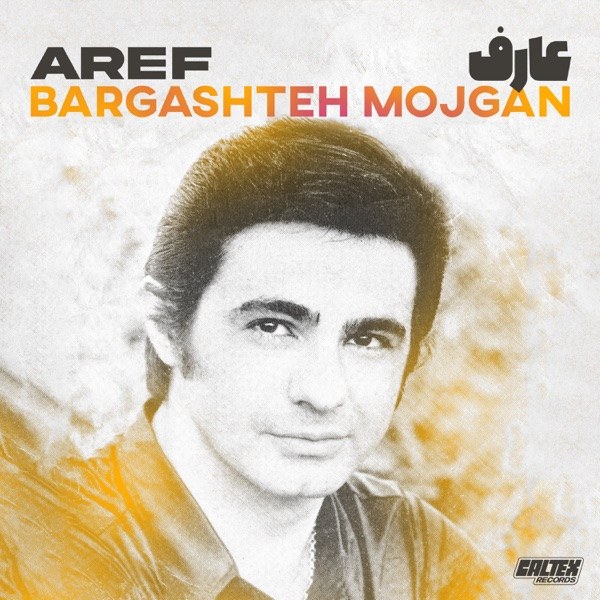کاور آهنگ Hamisheh Dar Ghalbe Mani از Aref
