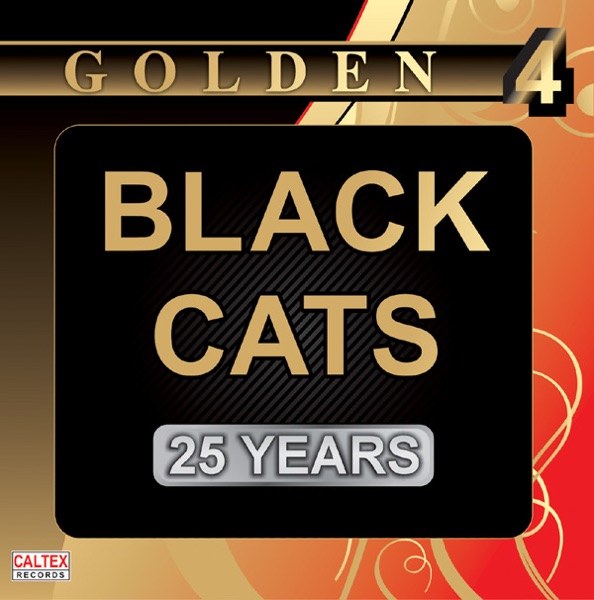 کاور آهنگ Ahange Man از Black Cats