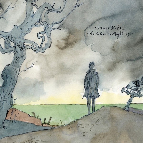 کاور آهنگ I Need a Forest Fire از James Blake