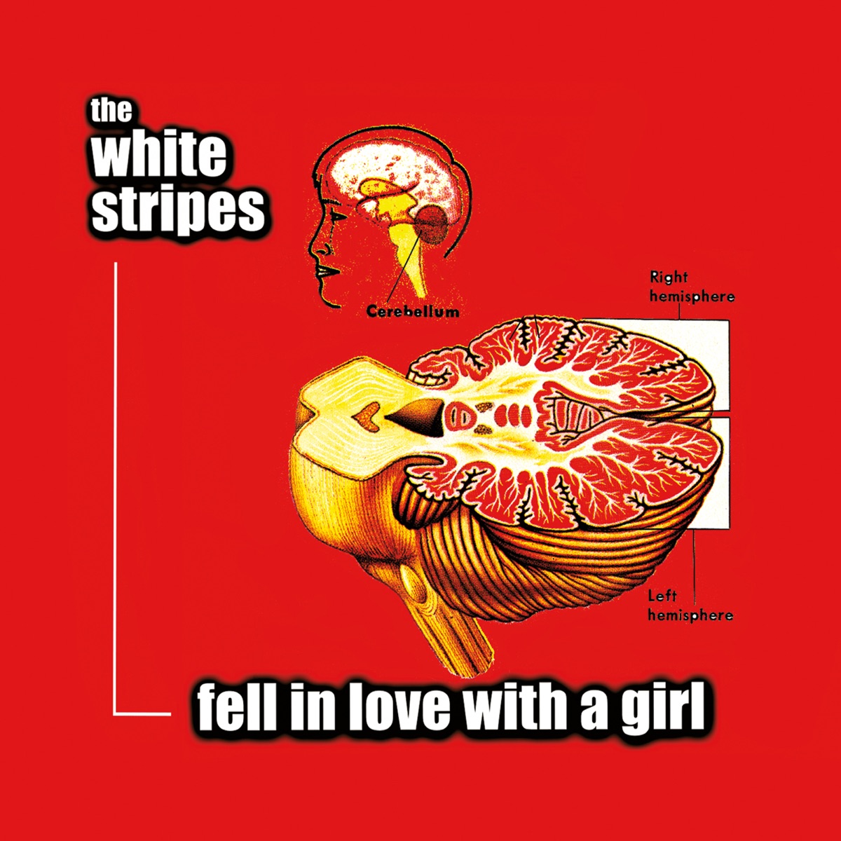 کاور آلبوم Fell in Love With a Girl - Single