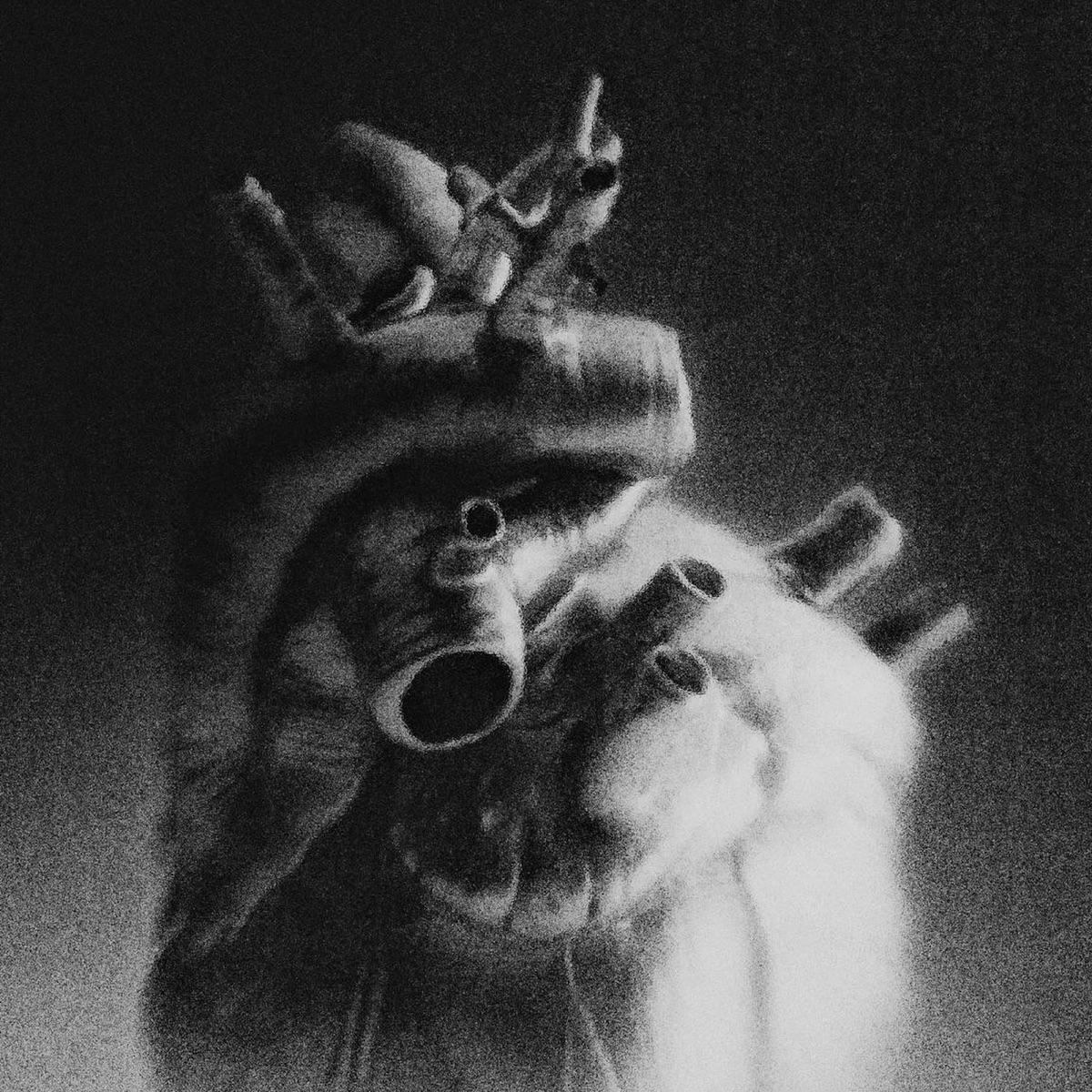 کاور Moody - Single