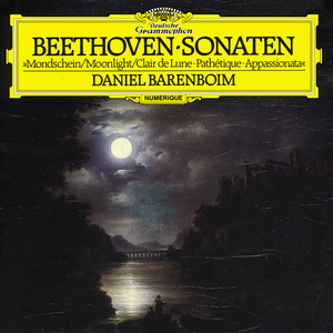 کاور آهنگ Piano Sonata No. 14 in C-Sharp Minor, Op. 27 No. 2 "Moonlight Sonata": III. Presto agitato از Ludwig van Beethoven