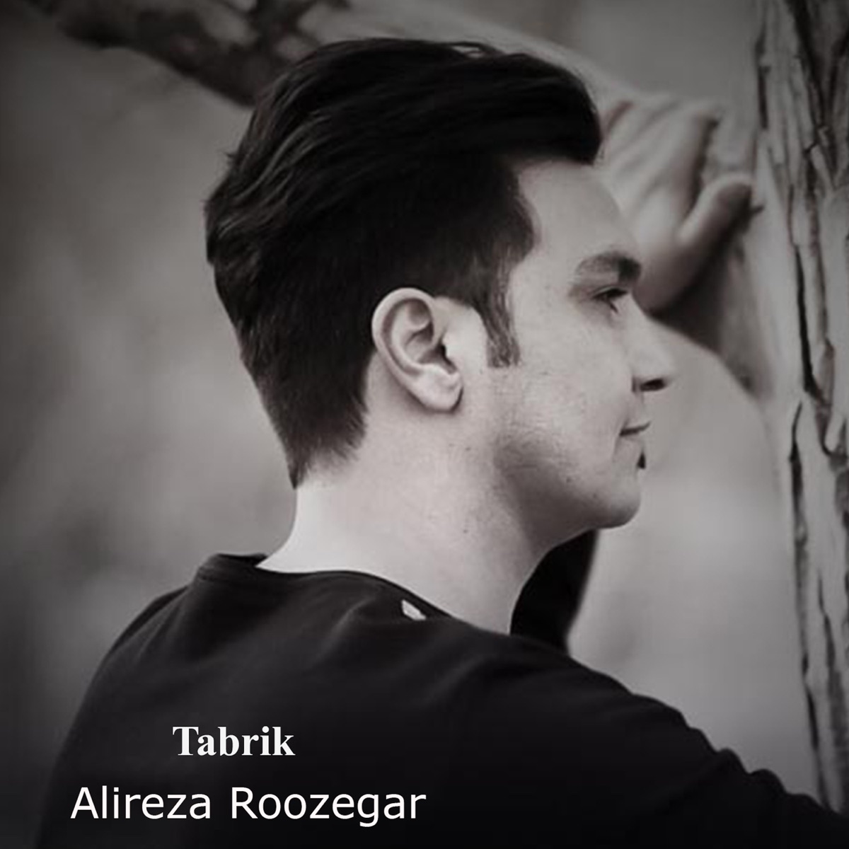 کاور Tabrik - Single