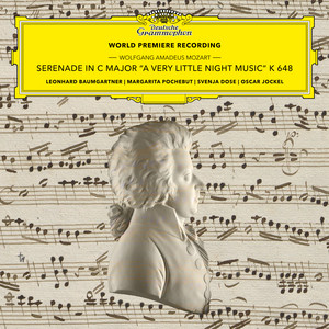 کاور آهنگ Serenade in C Major, K. 648 "A Very Little Night Music" (Original Version for 2 Violins & Bass): II. Allegro از Wolfgang Amadeus Mozart