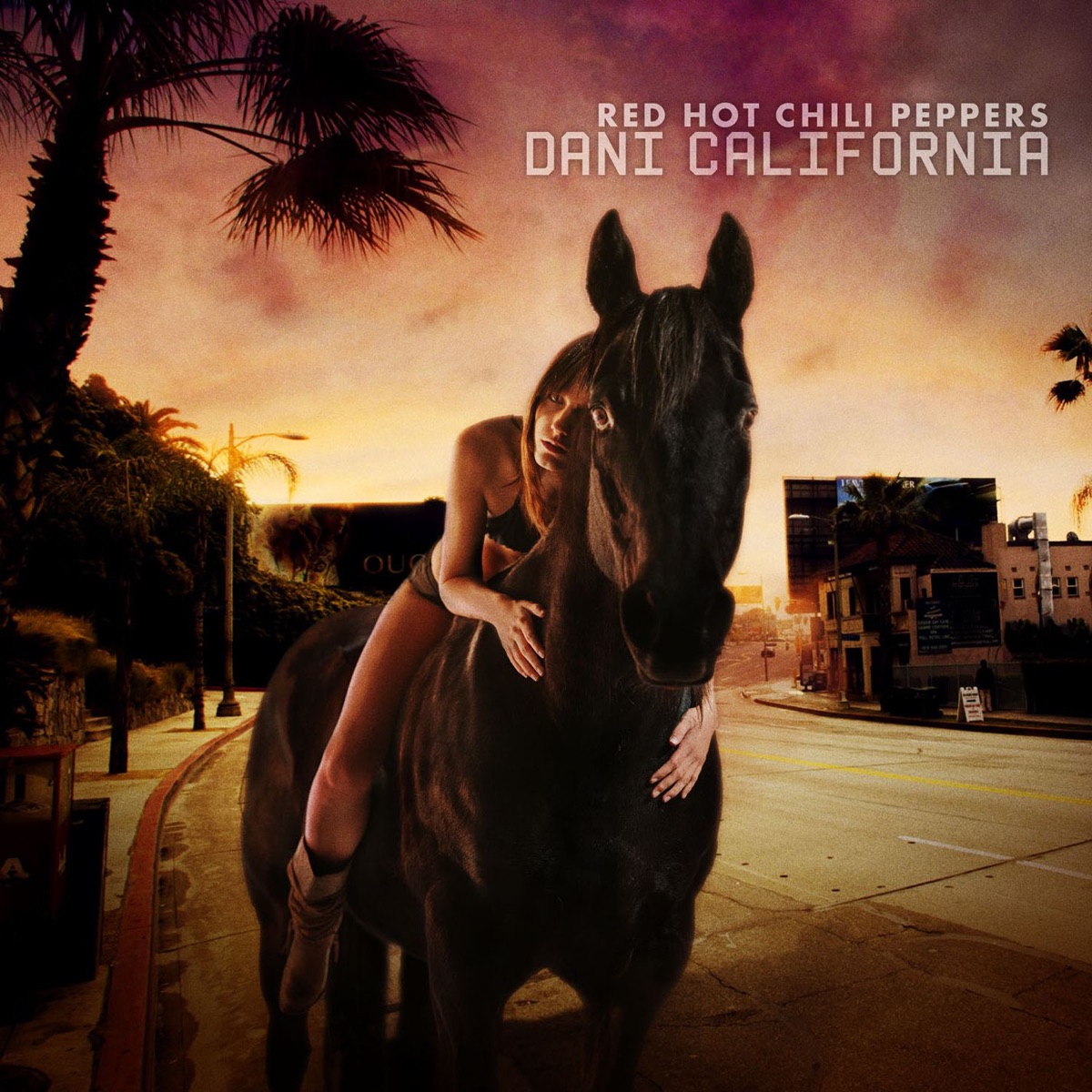 کاور آهنگ Dani California از رد هات چیلی پپرز