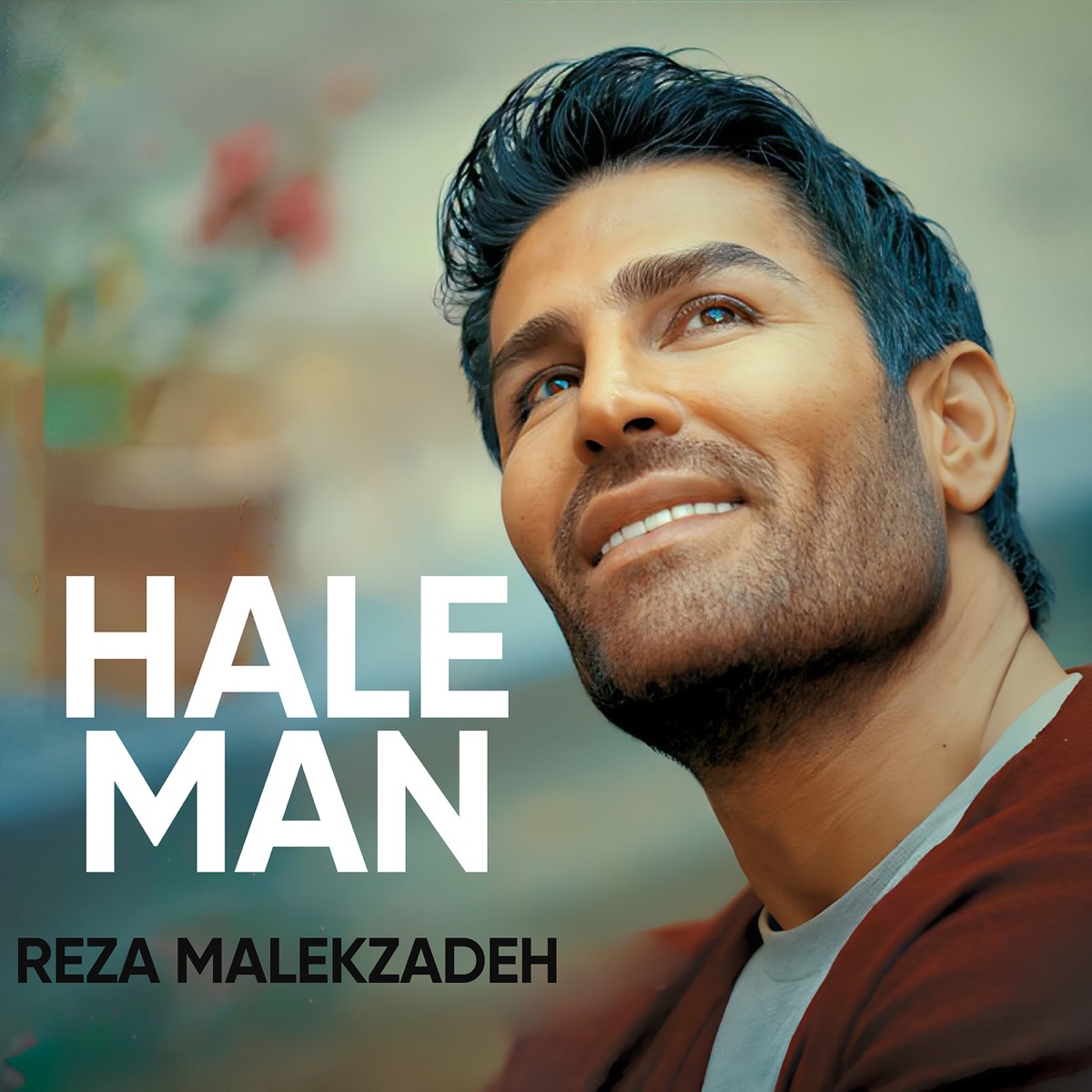 کاور آلبوم Hale Man - Single