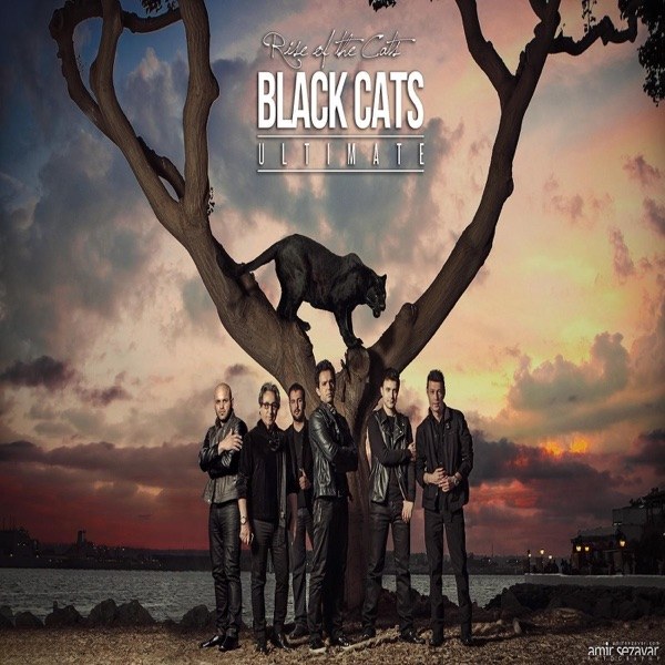 کاور آهنگ Cheghad Asheghetam از Blackcats Edvin