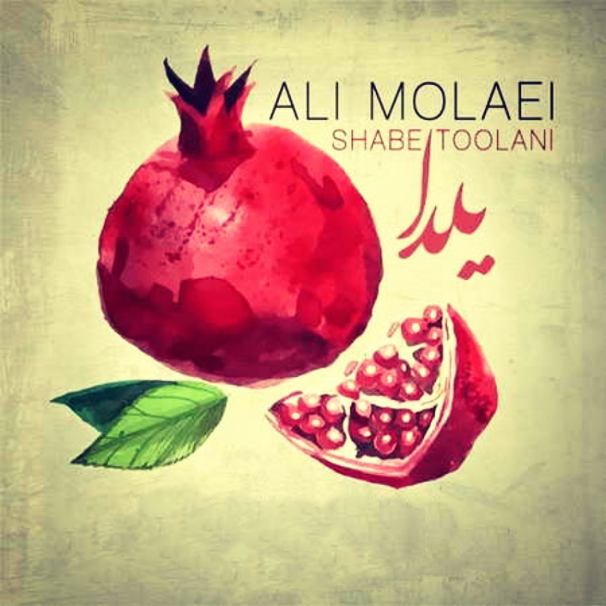 کاور Shabe Toolani - Single