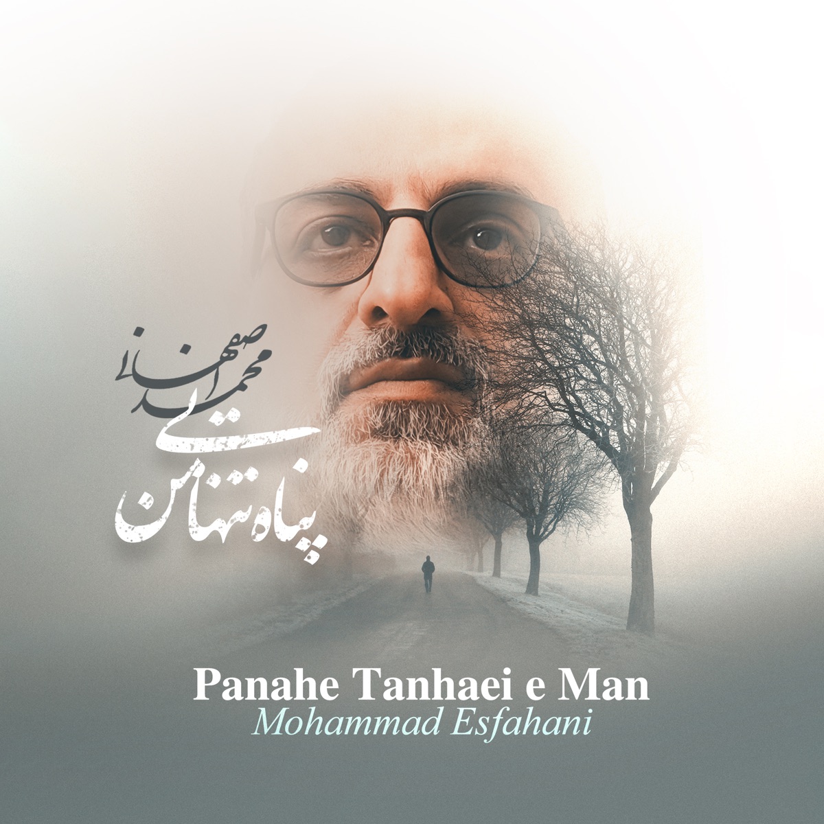 کاور Panahe Tanhaei E Man - Single