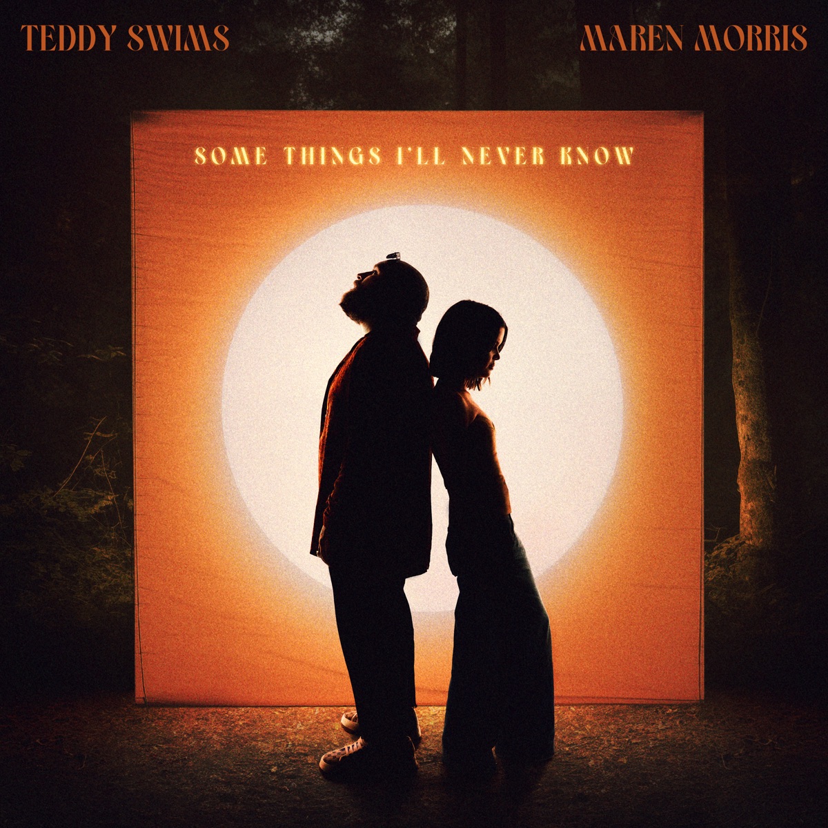 کاور Some Things I'll Never Know (feat. Maren Morris) - Single