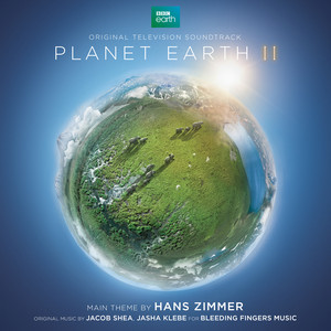 کاور آهنگ Planet Earth II Suite از Jacob Shea