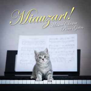 کاور آهنگ Piano Concerto No. 27 in B-Flat Major, K. 595: II. Larghetto - Live at Severance Hall, Cleveland, 2010 از Wolfgang Amadeus Mozart