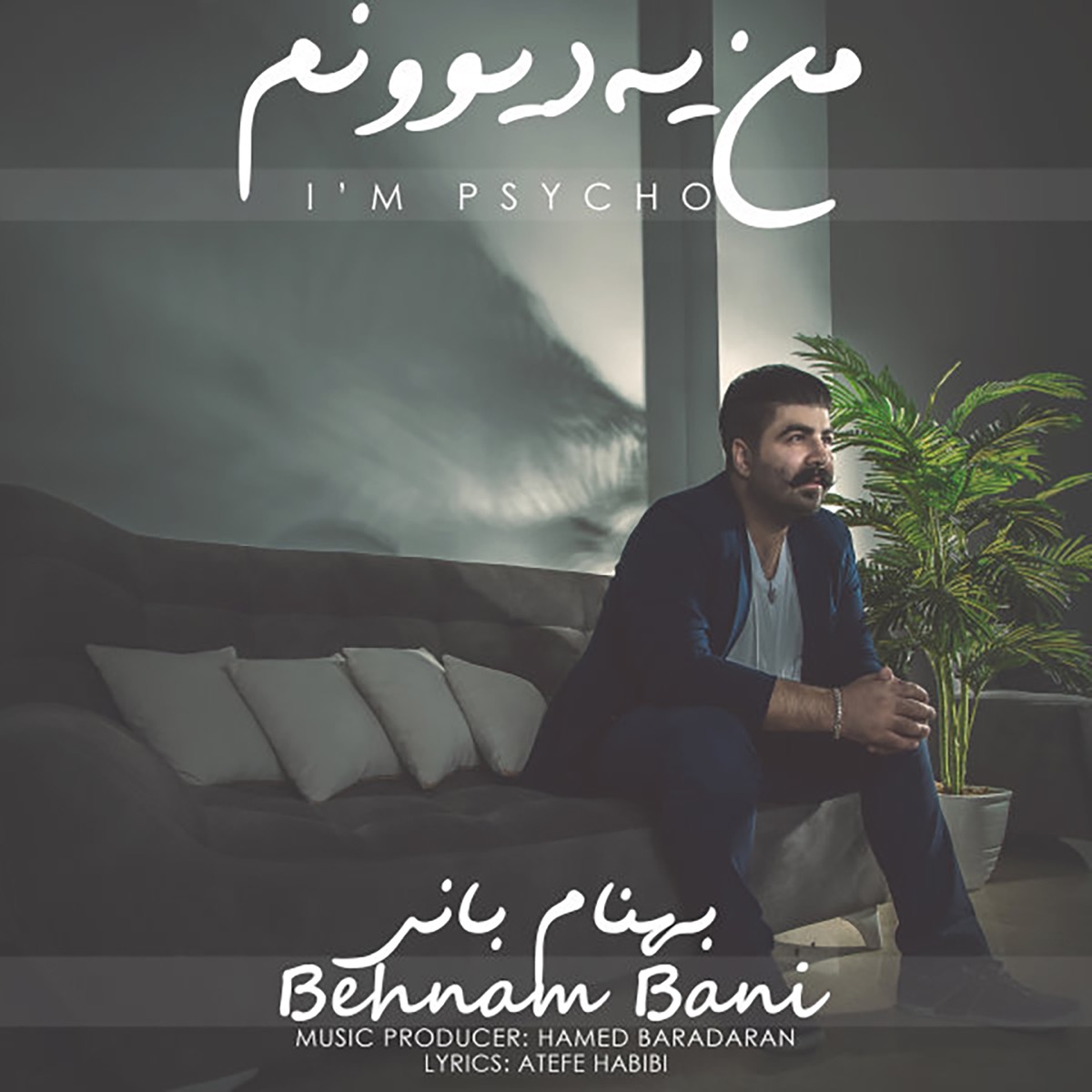 کاور Man Ye Divoonam - Single