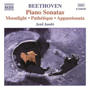 کاور آهنگ Piano Sonata No. 23 in F Minor, Op. 57 "Appassionata": I. Allegro assai از Ludwig van Beethoven