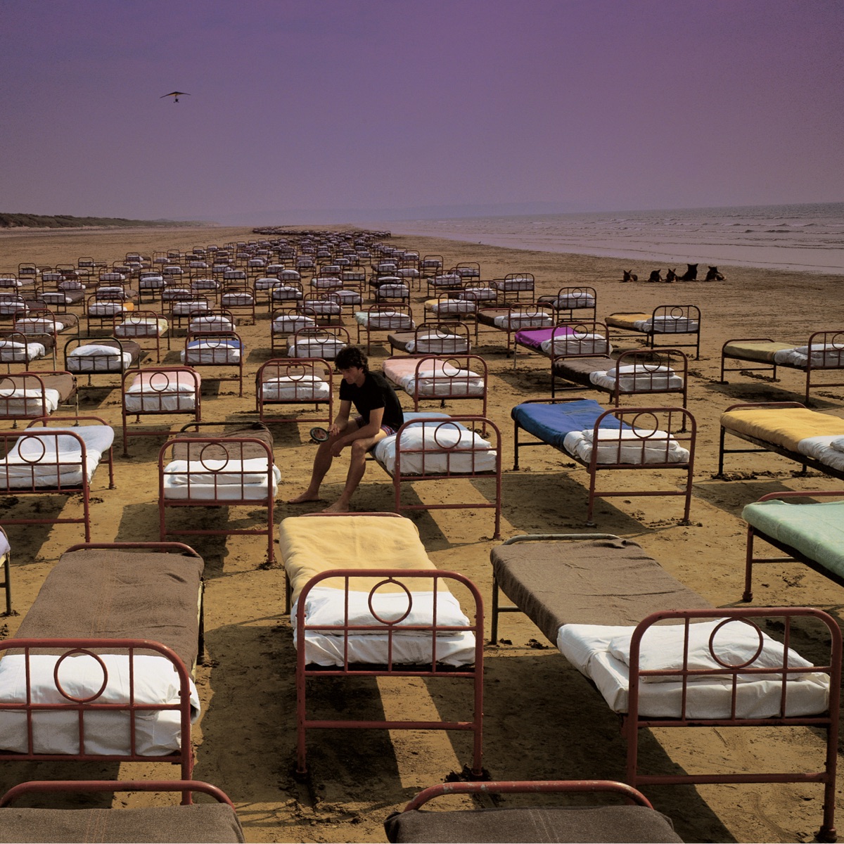 کاور A Momentary Lapse of Reason