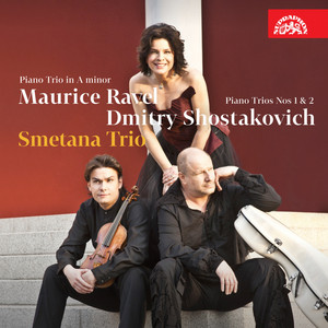 کاور آهنگ Piano Trio in A Minor, M. 67: III. Passacaille. Très large از Maurice Ravel