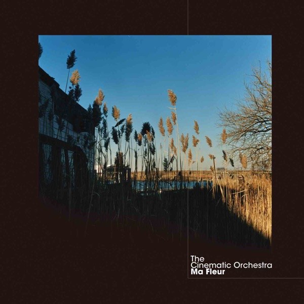 کاور آهنگ As The Stars Fall از The Cinematic Orchestra