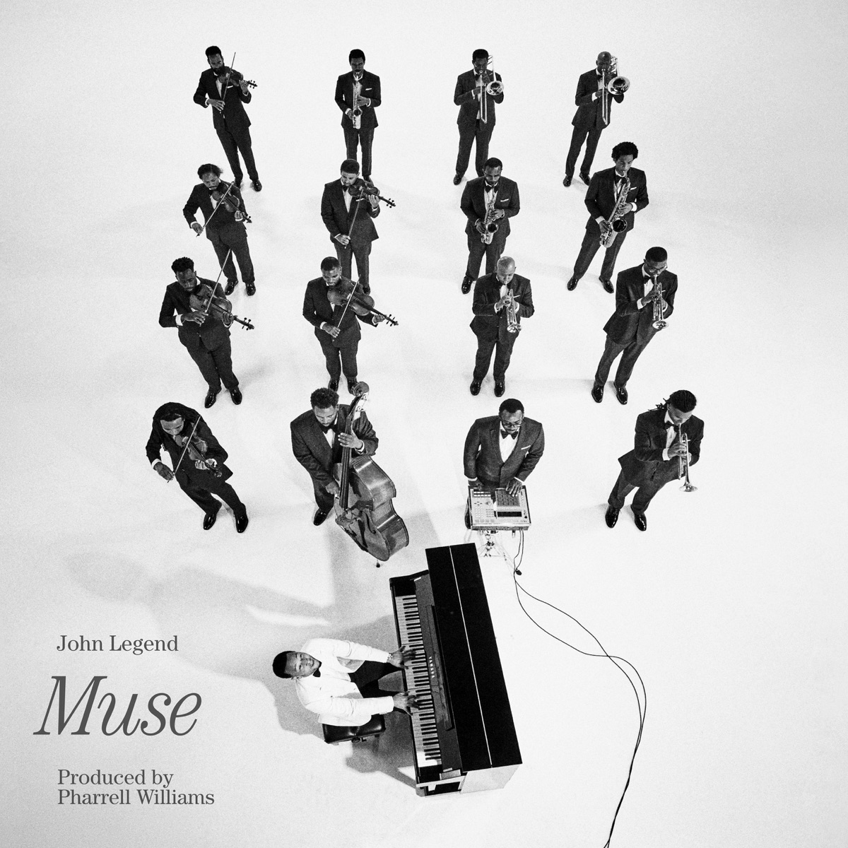 کاور Muse